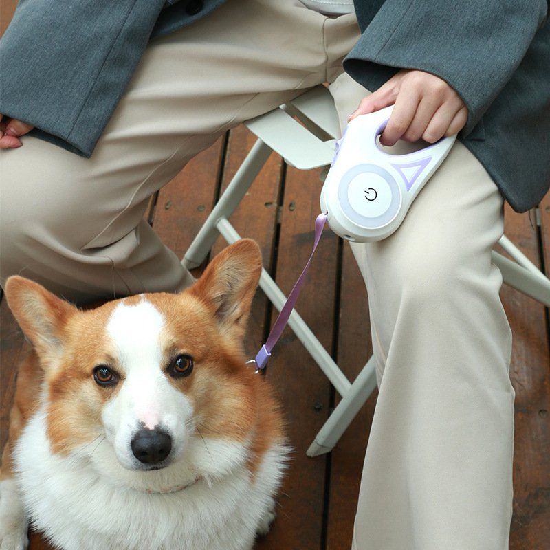 Dog Leash Retractable Leash And Dog Collar Spotlight Automatic Pet Dog Cat Traction Rope For Small Medium Dogs Pet Product 2 Dog Leash Retractable Leash And Dog Collar Spotlight Automatic Pet Dog Cat Traction Rope For Small Medium Dogs Pet Product - Image 2